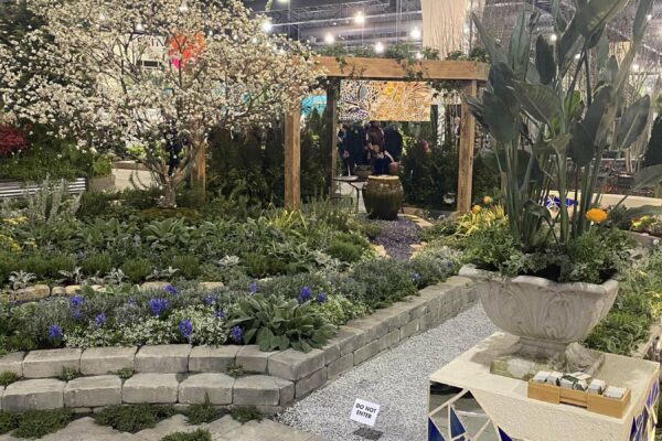 Commercial and residential luxury hardscaping and landscaping services in Delaware and Pennsylvania