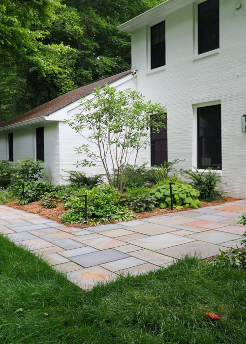 Native Landscaping Creating Sustainable Outdoor Spaces