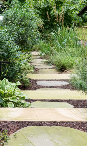 Pollinator and native gardening company in Northern Delaware and Southeastern Pennsylvania. Free Estimates Available!