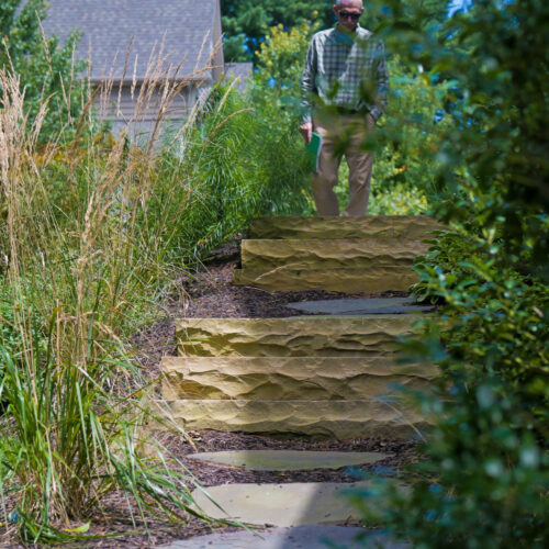 Irwin Landscaping native and non native planting landscaping and design in Delaware and Pennsylvania.