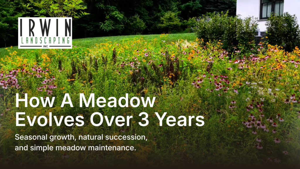 Video Preview graphic Pollinator and native gardening company in Northern Delaware and Southeastern Pennsylvania. Free Estimates Available!