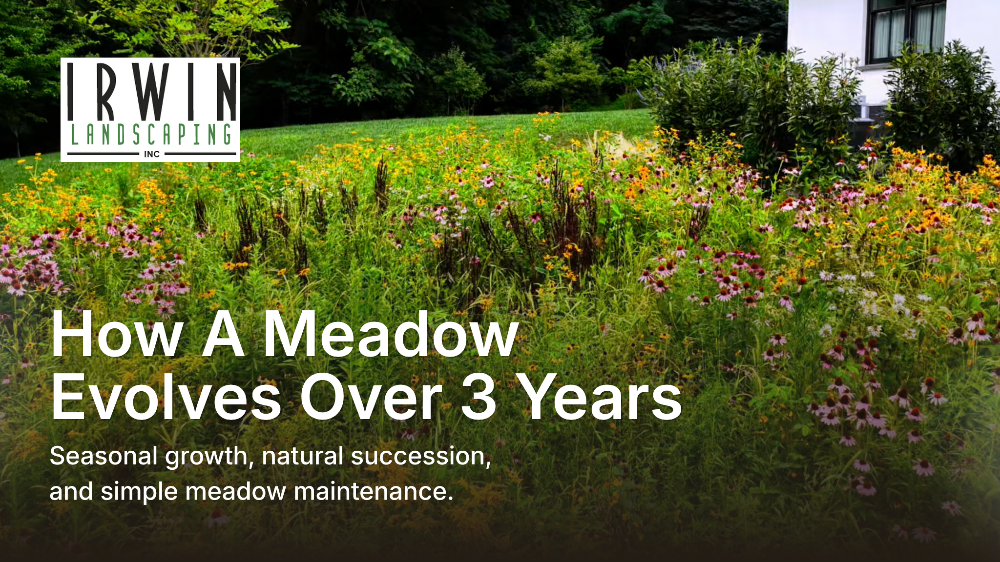 Video Preview graphic Pollinator and native gardening company in Northern Delaware and Southeastern Pennsylvania. Free Estimates Available!